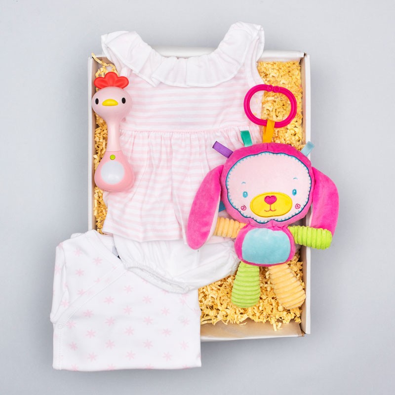Canastilla Bebé Niña «Cute Pink» image number null